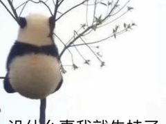-阿捡忭京炸鸡(韭菜园总店)