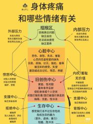 点击看大图 -玛莲朵·海菲秀冰珀科
