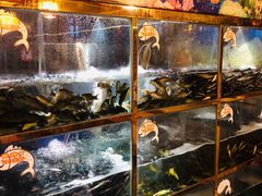 水产区-三道苗苗鱼·美蛙黄辣丁(八里店)