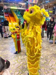 -卡通尼·Safari非洲探索乐园·生日会(金桥国际商业广场店)