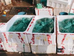 -王四营海鲜市场