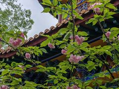 -宝通禅寺