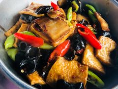 -云中小雅