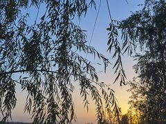 -白洋淀风景区
