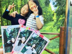 -黄海国家森林公园