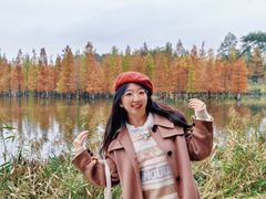 -白鹭湾湿地公园