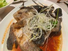 -一麦·龙岛(上海青浦店)