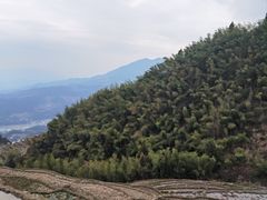 -紫鹊界梯田景区