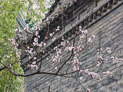 -罔极寺