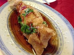 梭油鲑鱼-厉家菜(德胜门总店)