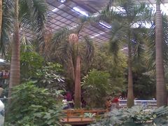 树-绿色时代大酒店