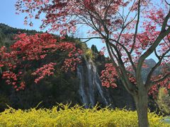 -黄花溪