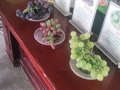 -马陆小张葡萄园农家乐