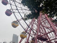 -南湖梦幻岛