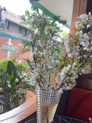 -花隐·美芙炫海菲秀皮肤管理中心