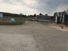 -上海都市菜园