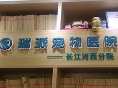 -瑞派长江宠物医院·猫科·外科·24小时夜护(谊城公寓分院)