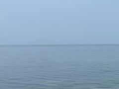 -日照海滨国家森林公园