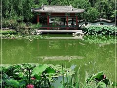 -宣武艺园