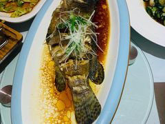 -小螺号海鲜·地道鲁菜(省体总店)