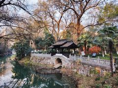 -红梅公园