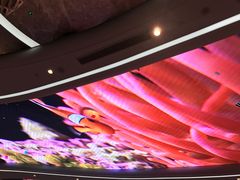 -瑞德姆美人鱼海底演艺主题餐厅(亚龙湾店)