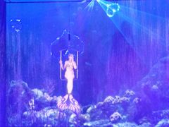 -芜湖新华联大白鲸海洋公园