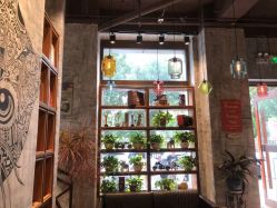 -T.1 hair salon烫染接发