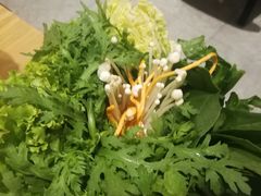 -掂档潮汕牛肉火锅(沈阳万象城店)