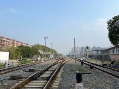 -上海吴淞炮台湾国家湿地公园