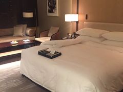 -成都尼依格罗酒店