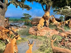 -国家自然博物馆