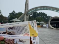 -南山植物园