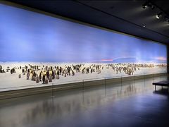 -罗红摄影艺术馆