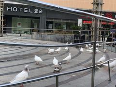 -三福百货(石路店)
