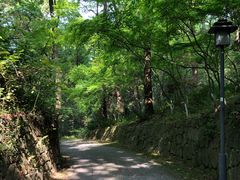 -宋宴(虎跑店)