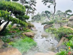 -罗红摄影艺术馆