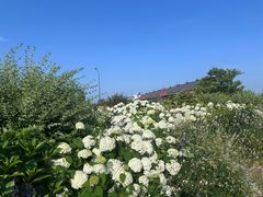 -横滨红砖仓库1号馆