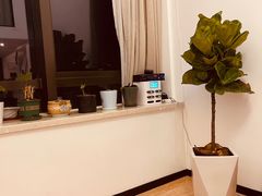 -八号公馆·老上海SPA(深圳北站店)