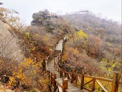 -大岭沟猕猴桃谷风景区