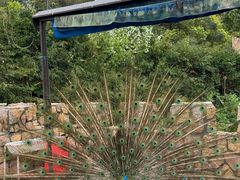 -J Create城市露营咖啡·简餐·宠物(上海动物园店)