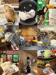 -Zoolung Zoolung动物主题公园(海信广场店)