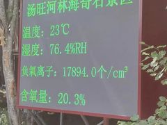 -汤旺河林海奇石景区