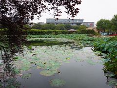 -嘉定紫藤园