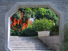 -广州市帽峰山景区