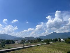 -黄牛肉馆·皖南土菜