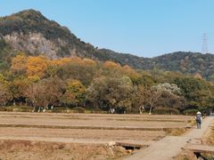 -八卦田遗址公园