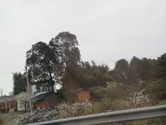 -紫颐香薰山谷景区
