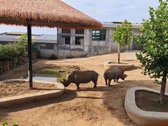 -西霞口神雕山野生动物世界