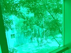 -苏湘小馆·不做预制菜(青年公社店)